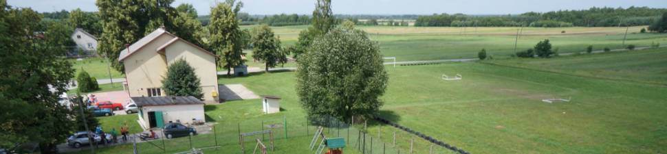 pien Retina Image